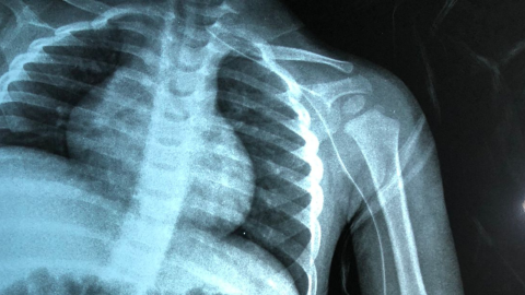 capa cursos site picc